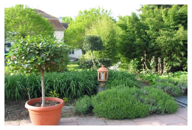 Mediterraner Sonnengarten